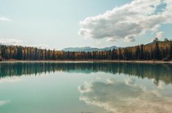 开云平台-厄瓜多尔冲垮土耳其，罗德里关键先生闪耀全场