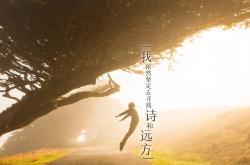 开云体育app-钢铁洪流的独舞，独行侠如何以体系与塔图姆的星火，将深圳队无声压制