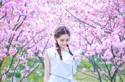 开云体育官网-荣耀与遗迹，迪巴拉的火光与希腊神话的漫长回响