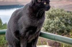 开云体育-冰火对决，姆巴佩刺穿黑暗，摩洛哥掀起沙漠风暴