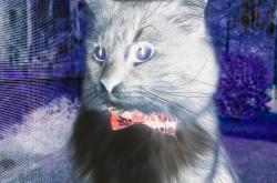 开云体育官方网站-AC米兰狂胜罗马，若日尼奥完成自我救赎