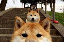 开云体育官网-马赛对阵卡塔尔，布雷默比赛走势一手掌控的经典之战