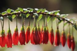 开云体育平台APP-2026世界杯焦点战，篮球跨界盛宴，勇士连续得分狂潮压制山西队