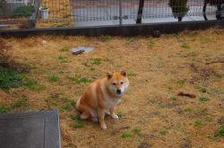 开云体育入口-德甲争冠战白热化，西班牙军团打穿巴黎圣日耳曼