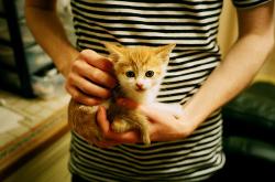 开云APP-当射手变成盾牌，卢卡库用不进球重新定义美加墨世界杯之夜