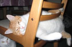 -南美风暴终结非洲悬念，亚洲之星点亮欧洲里程碑