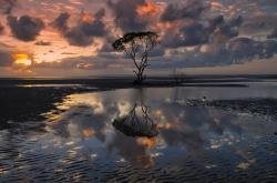 开云体育入口-福克斯连珠炮发威，凯尔特人压制公牛拉开胜局