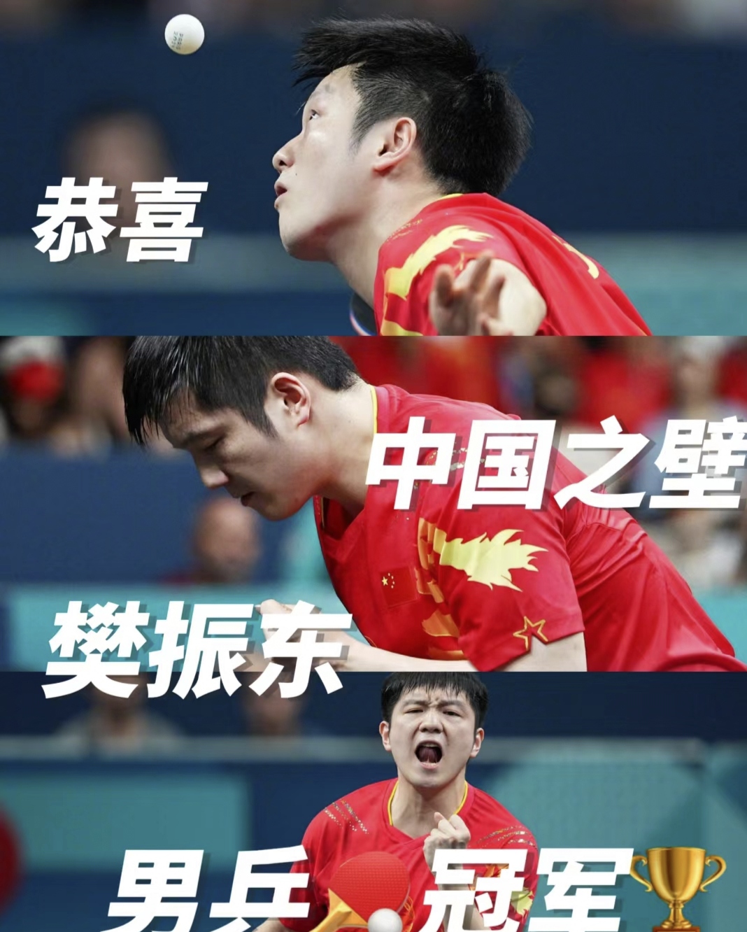 法国队翻盘中国队，樊振东惊艳四座