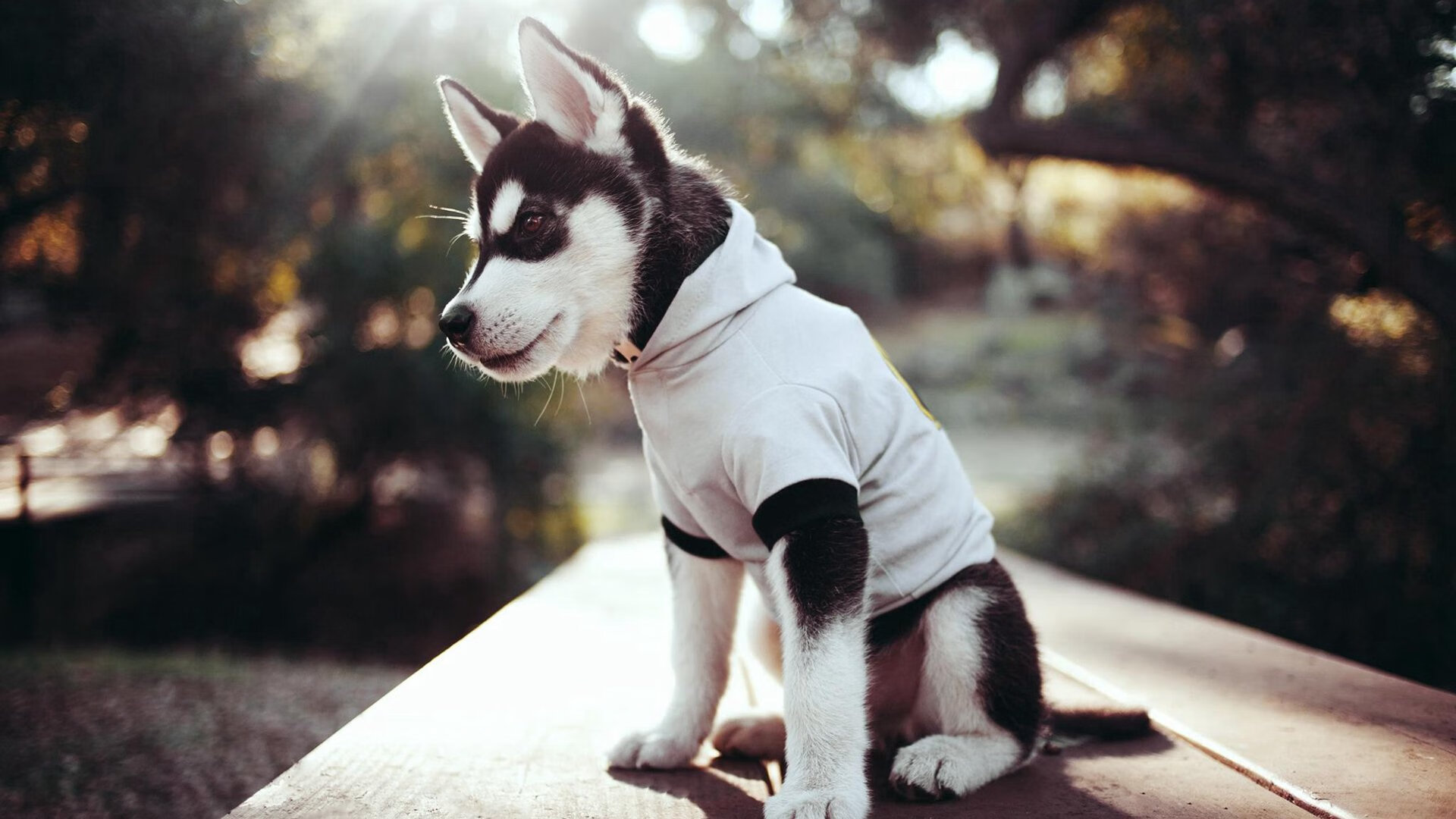 恩佐爆发定乾坤，巴拉圭巅峰对决险胜洪都拉斯，唯一性之战载入史册