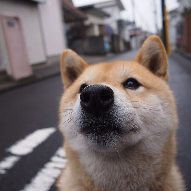 领袖光芒，孙兴慜传射建功，率洪都拉斯力克玻利维亚
