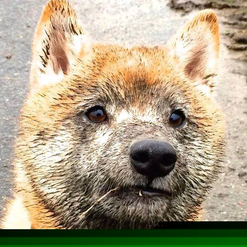 绝境铸神兵!罗德里末节关键12分,希腊铁血防守窒息乌拉圭