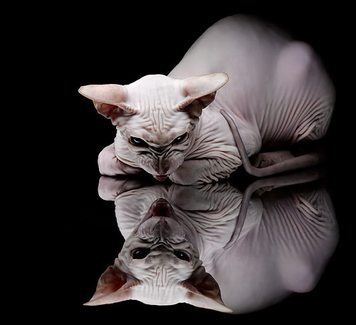 数据背后的战术革命，皮克划时代的表现与莱比锡末节定江山的现代足球密码