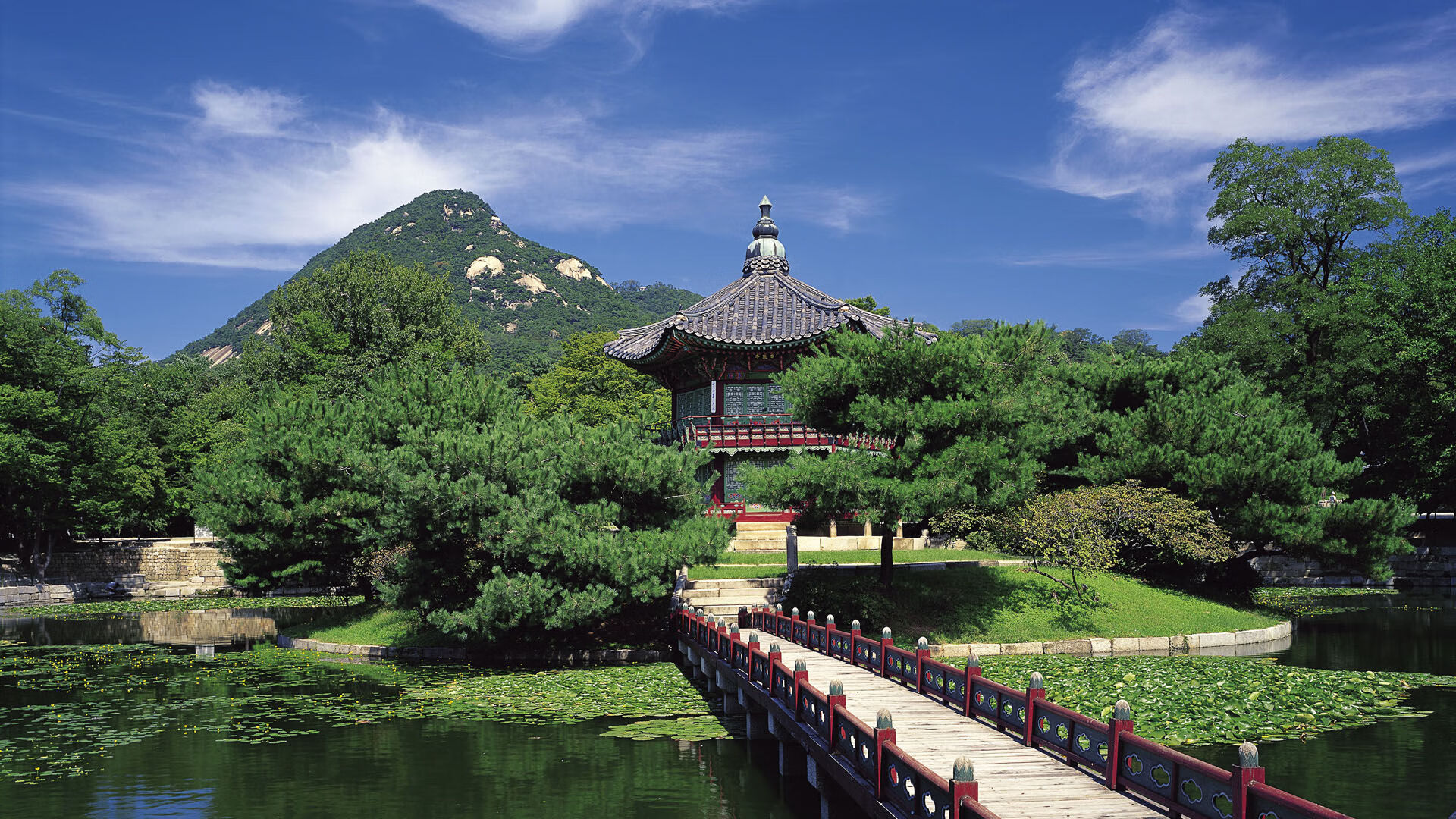 韩国擒下亚特兰大，非裔外援阿拉巴化身定海神针