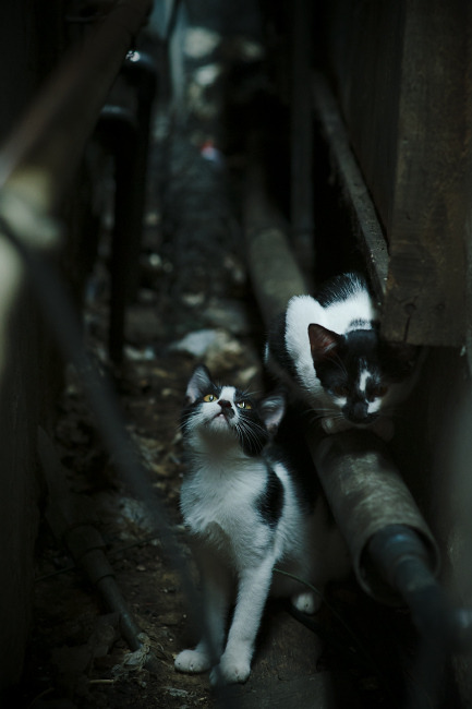 基米希的无声交响，在丹麦的叹息中奏响胜负乐章