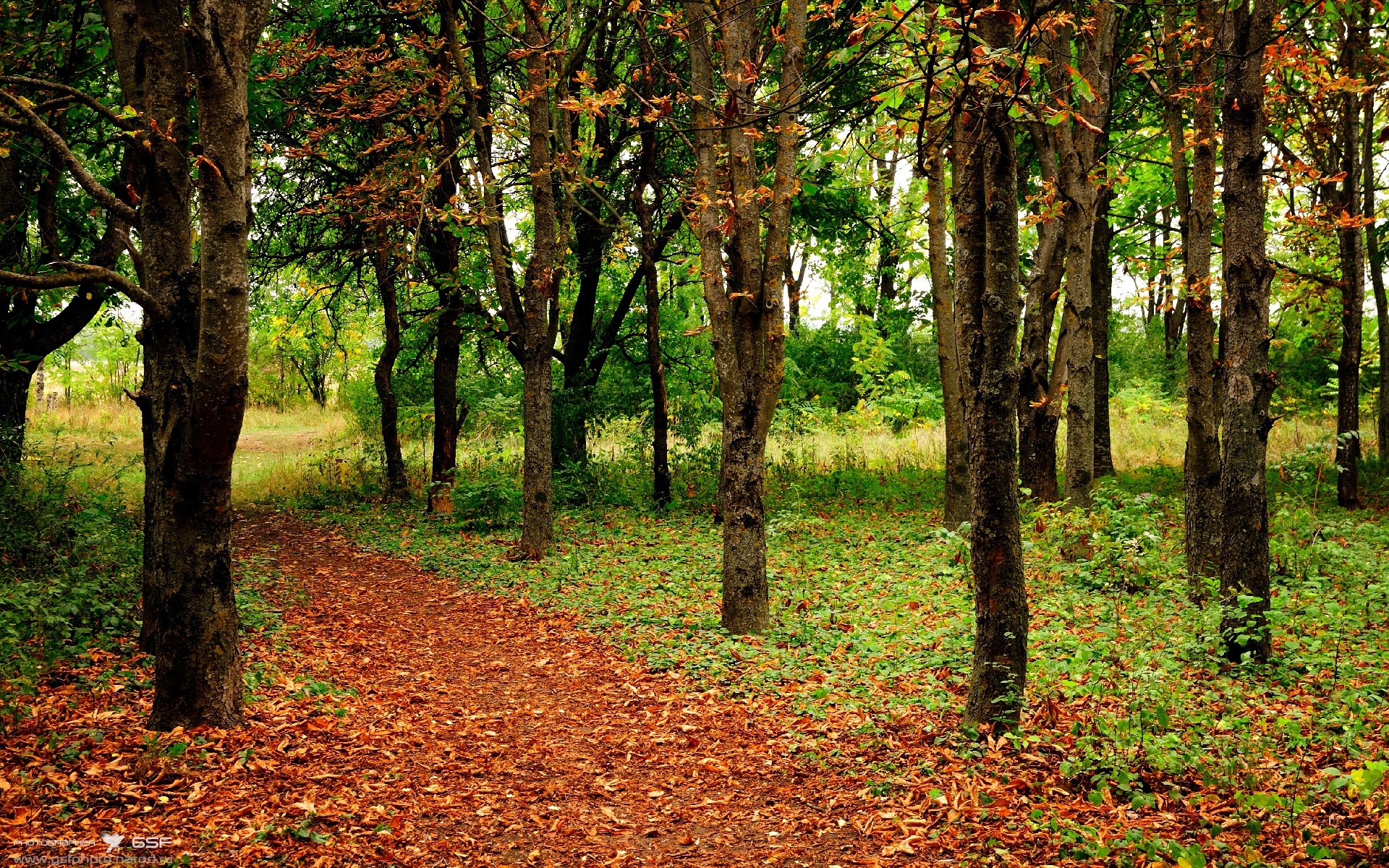 德甲争冠夜，德里赫特擎天一击，老将血脉铸就新传奇