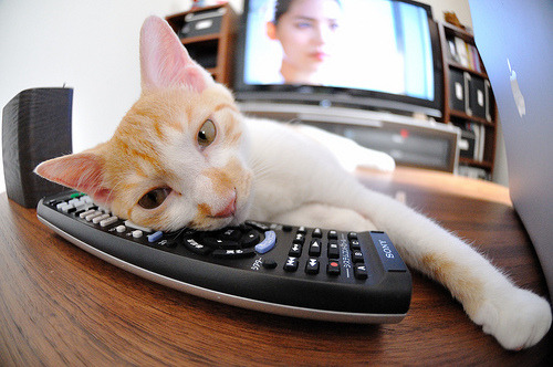 东契奇飚分盛宴！湖人提前碾压终结篮网悬念