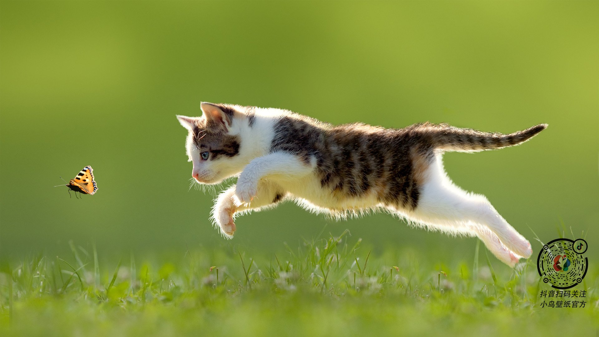 伊朗力量撼动伯纳乌，皇马铁闸阿拉巴关键战不手软