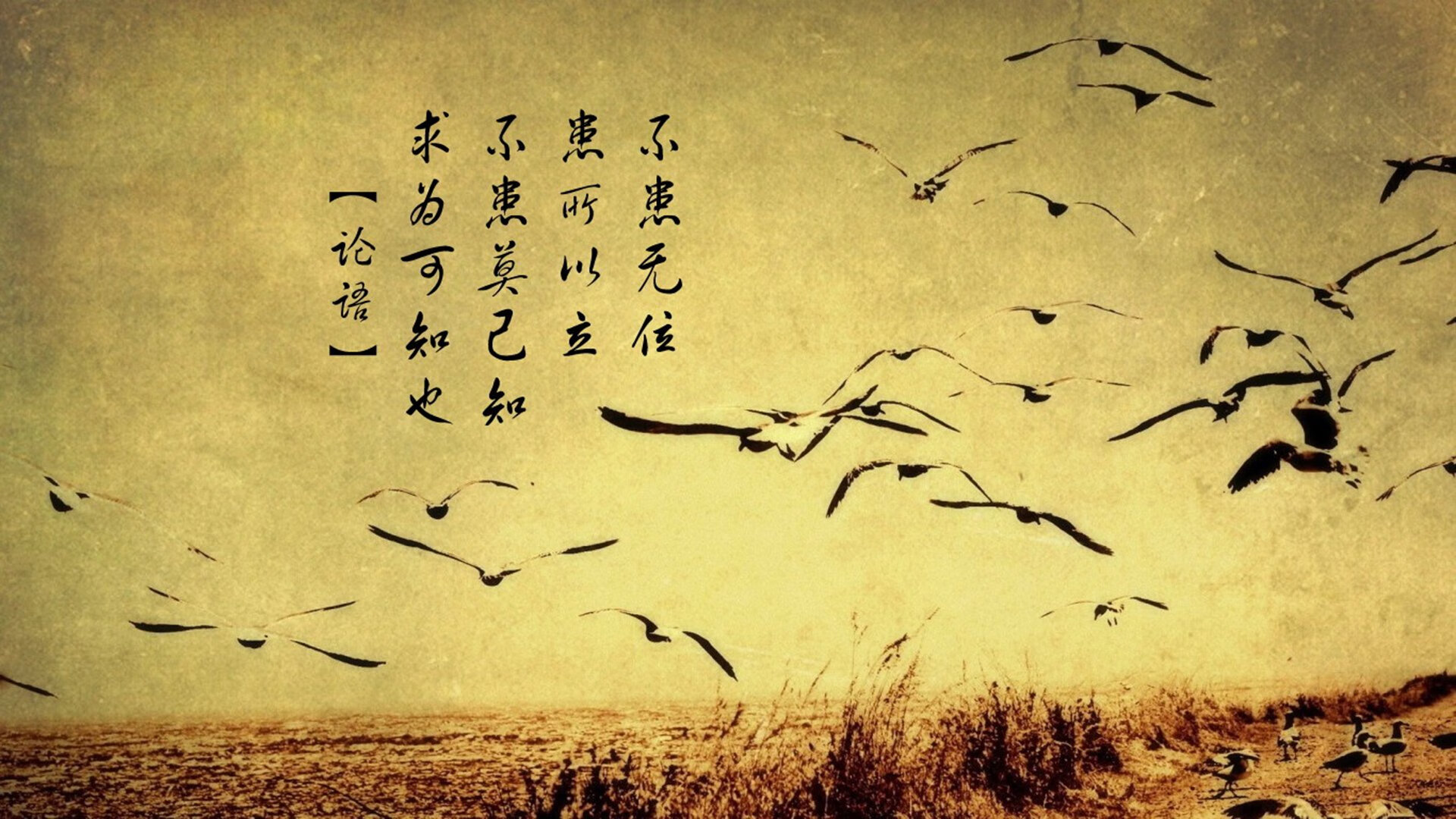 切特演绎暴力美学，山西队狂胜广厦诠释团队统治力