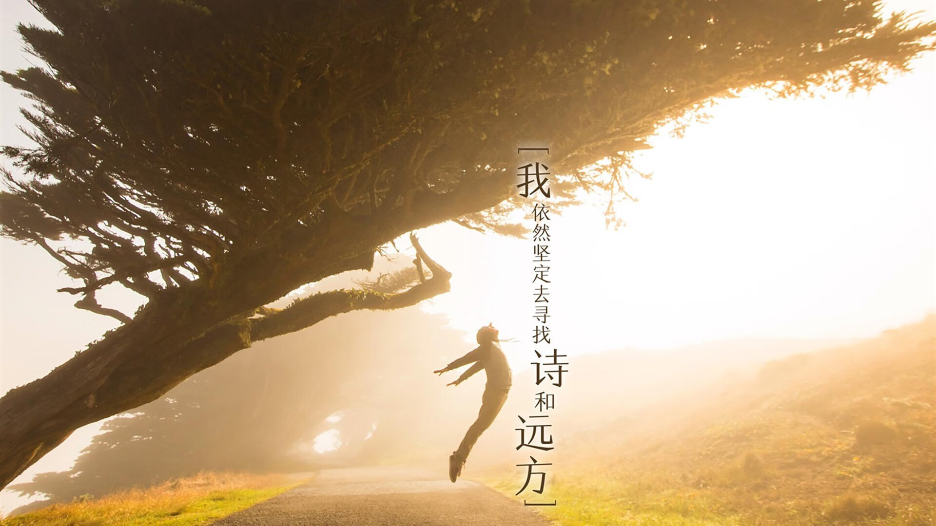 钢铁洪流的独舞，独行侠如何以体系与塔图姆的星火，将深圳队无声压制