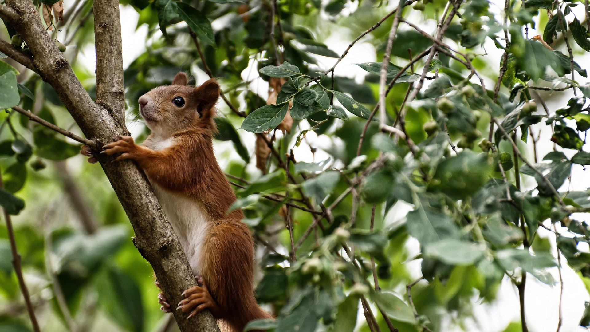 切特定义教科书级表现，浙江队谱写以智取胜新篇章