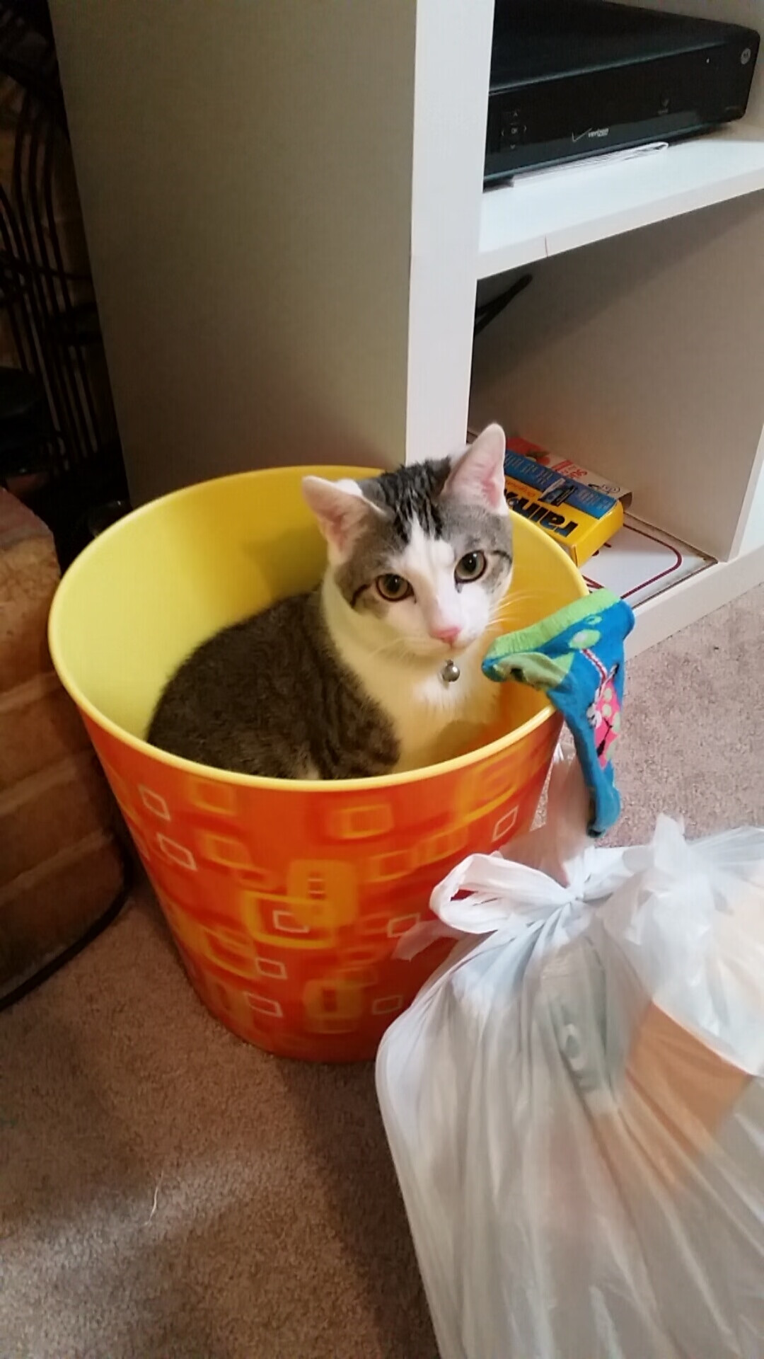 静默核武，伦纳德如何在东决关键战的喧嚣中，定义稳定的本质