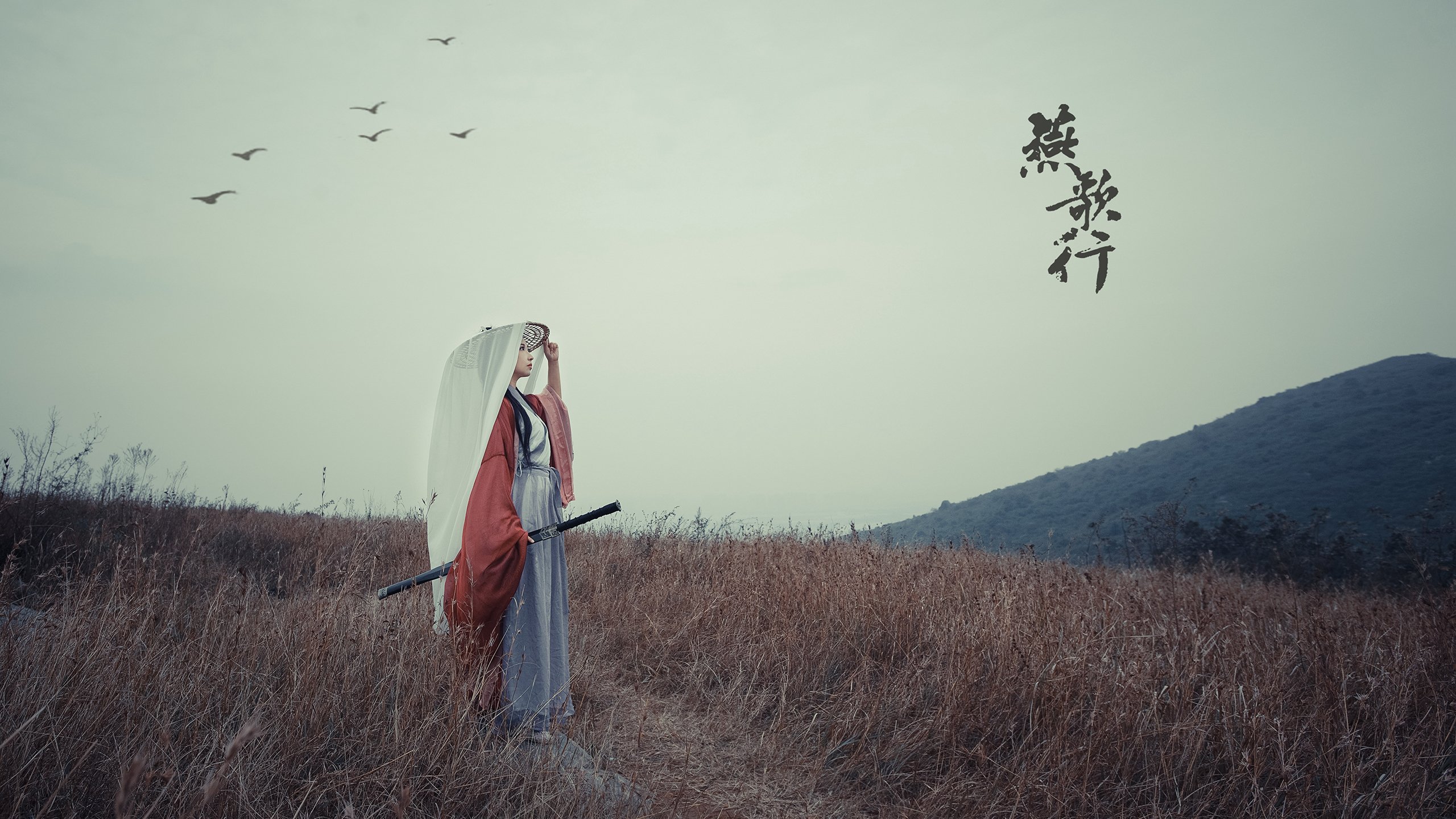 战术铁幕与接管时刻，太阳的集体绞杀与英格拉姆的奥运宣言