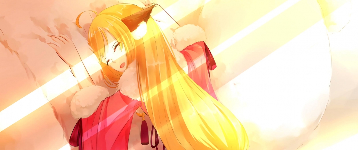 哈兰德攻防两端统治,玻利维亚斩落荷兰,当绿茵场重构强弱的边界