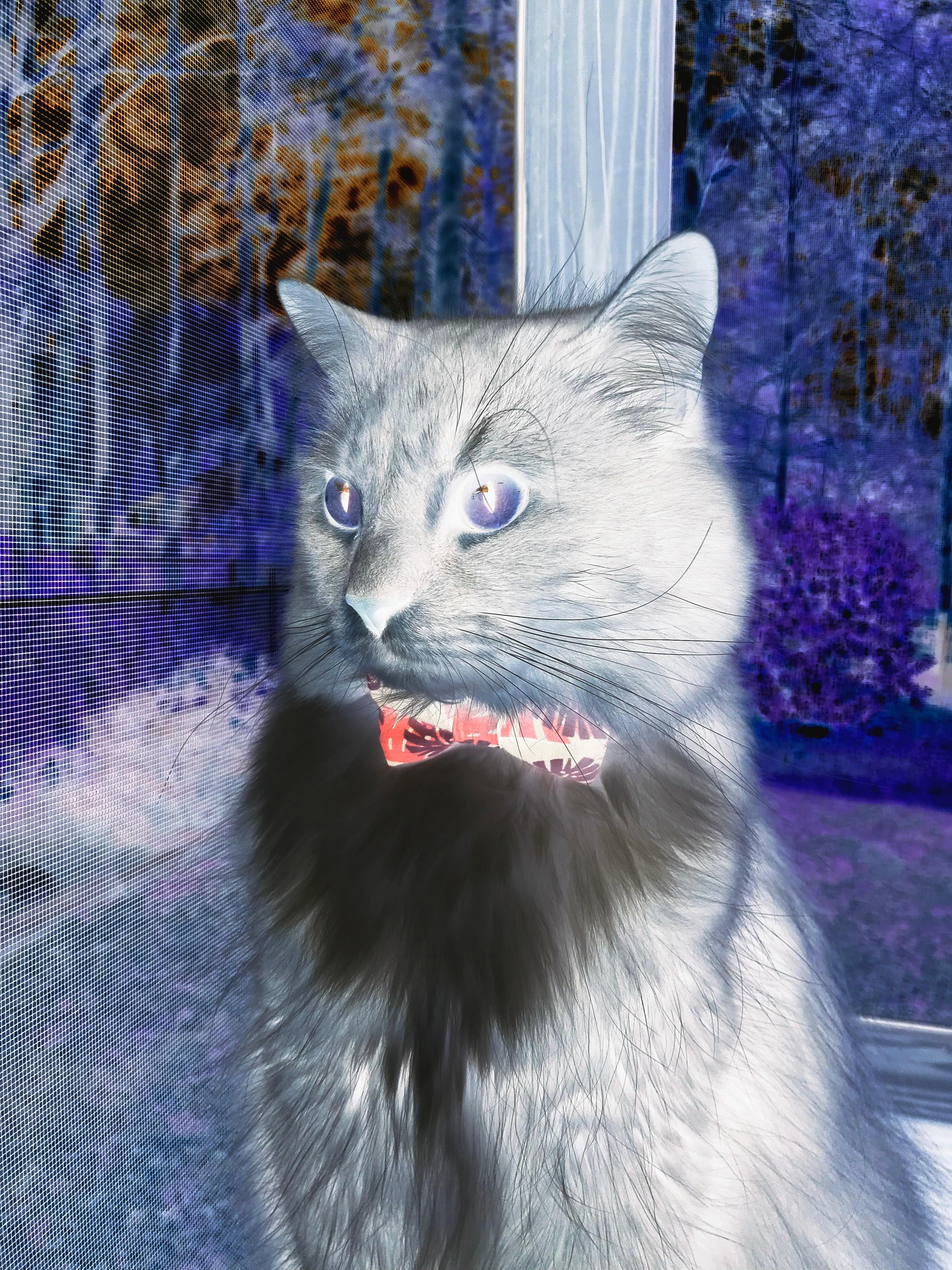 AC米兰狂胜罗马,若日尼奥完成自我救赎