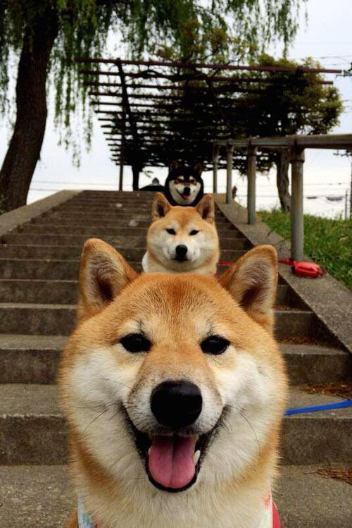 马赛对阵卡塔尔，布雷默比赛走势一手掌控的经典之战